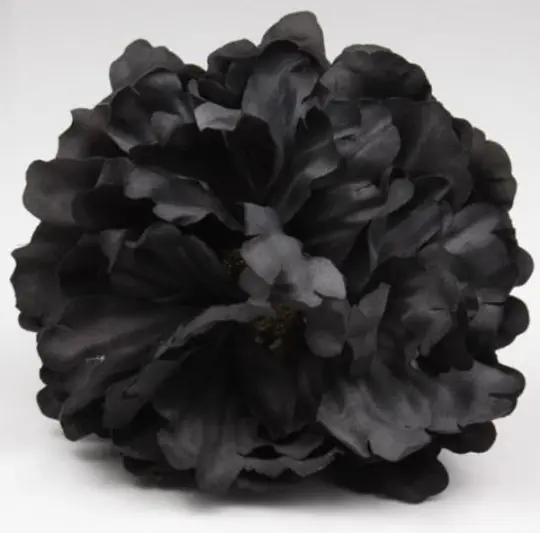 フラメンコドレス用黒い芍薬の花 | FlamencoExport